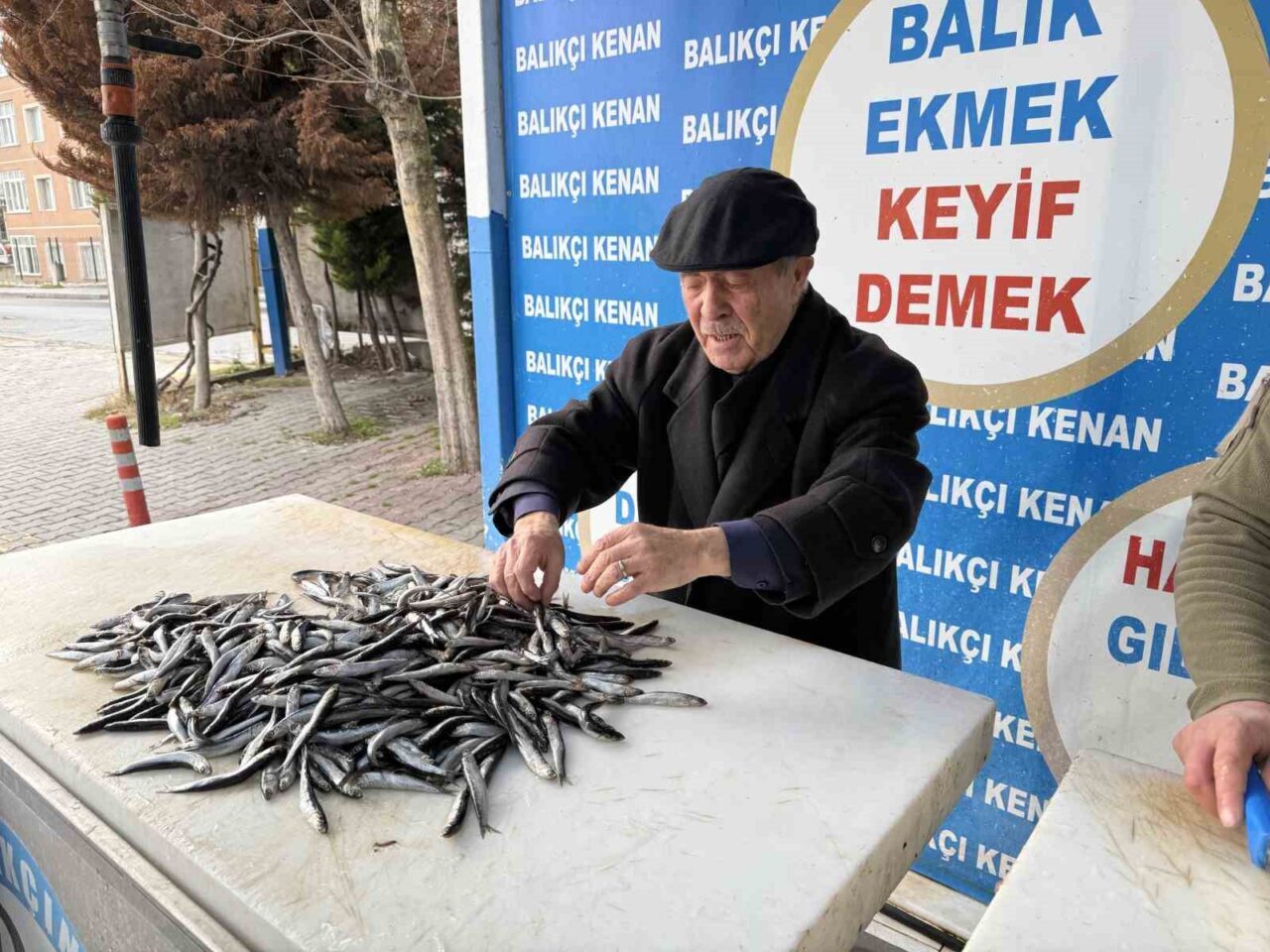 Hava soğuklarının denizlerdeki balık bolluğunu artırdığını belirten Türkiye Deniz Canlıları