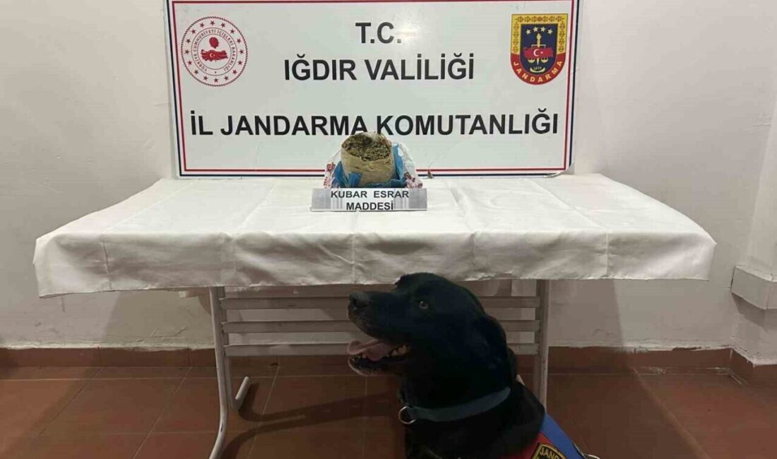 Iğdır’da Jandarma Operasyonu: 1 Kilogram Kubar Esrar Ele Geçirildi Iğdır'da Jandarma, yürüttüğü kaçakçılık operasyonunda 1 kilogram kubar esrar ele