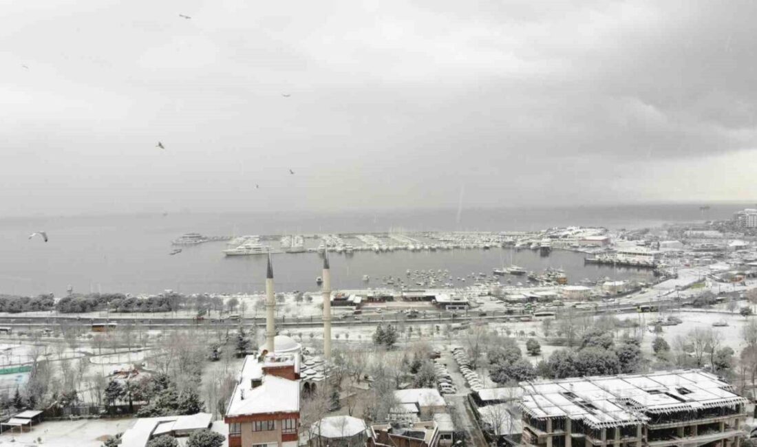 Pendik Marina, kar yağışı sonrası beyaz örtüyle kaplandı, dronla görüntülendi İstanbul'daki kar yağışı Pendik'i beyaz örtüyle kapladı. Evler, ağaçlar ve