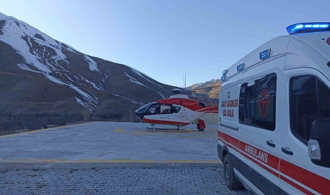 74 Yaşındaki KOAH Hastası, Bahçesaray’dan Van’a Ambulans Helikopterle Nakledildi Van'ın Bahçesaray ilçesinde KOAH hastası 74 yaşındaki bir kişi, sağlık