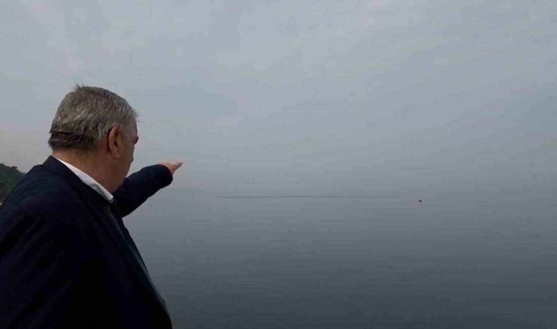 Bursa'nın Gemlik ilçesinde, midye çiftlikleri mahalle sakinlerinin tepkisini çekiyor. Kurşunlu