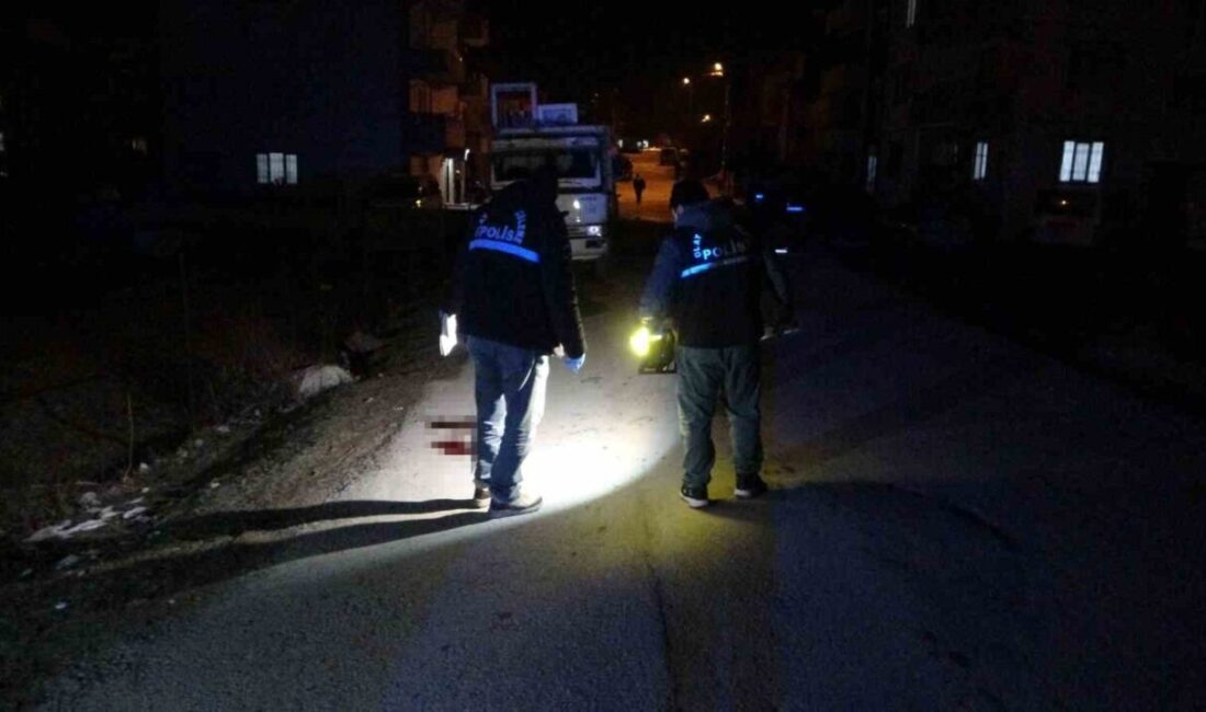 Malatya'nın Battalgazi ilçesinde akraba iki aile arasında çıkan tartışma, silahlı