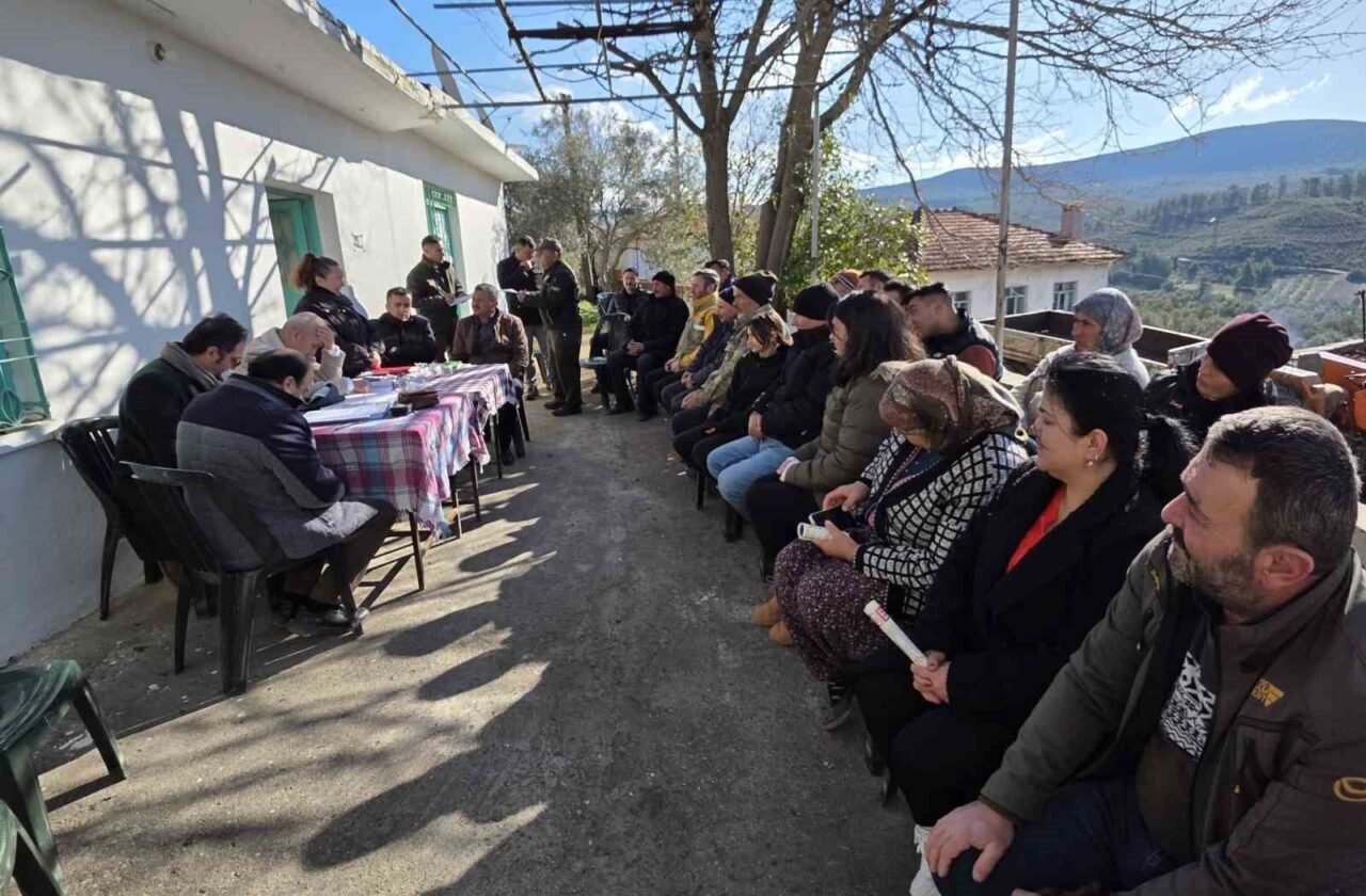 Muğla Orman Bölge Müdürlüğü, 2025 yılında Muğla ve Aydın'daki 216