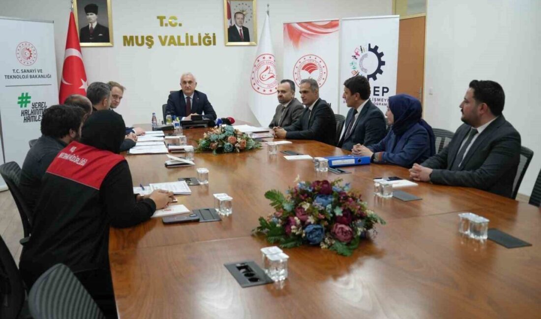 Muş’ta Kaz Yetiştiriciliği Projesi ile 20 Çiftçiye 2 Bin Kaz Dağıtılacak Muş'ta "Kaz Yetiştiriciliği Projesi" kapsamında 20 çiftçiye 2 bin kaz