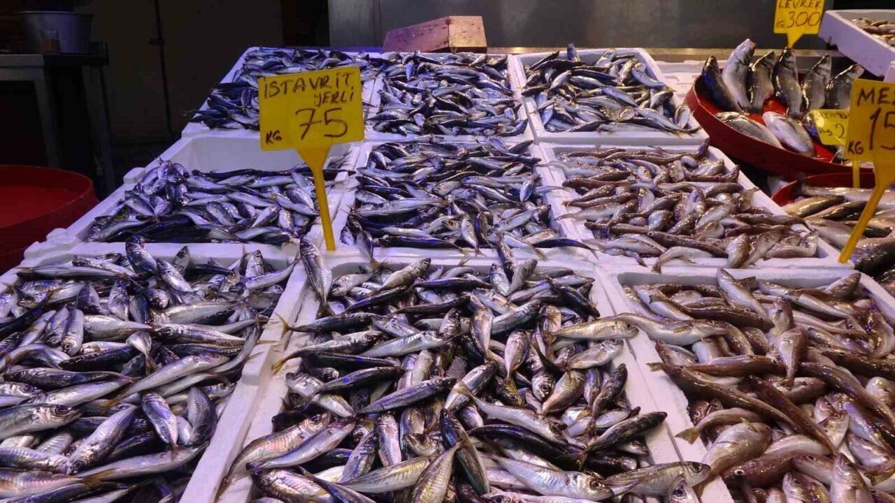 Doğu Karadeniz Balıkçı Kooperatifleri Birliği Başkanı Ahmet Mutlu, Türkiye'de av