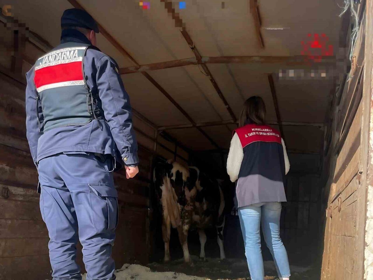 Kırklareli'nin Pehlivanköy ilçesinde, Babaeski İlçe Tarım ve Orman Müdürlüğü ile