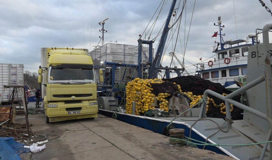 İğneada’da Hamsi Bolluğu Yaşanıyor, Balıkçılar Karadeniz’den Kasa Kasa Hamsi İle Dönüyor Kırklareli'nin İğneada beldesinde hamsi bolluğu dikkat çekiyor. İstanbul, Trabzon gibi