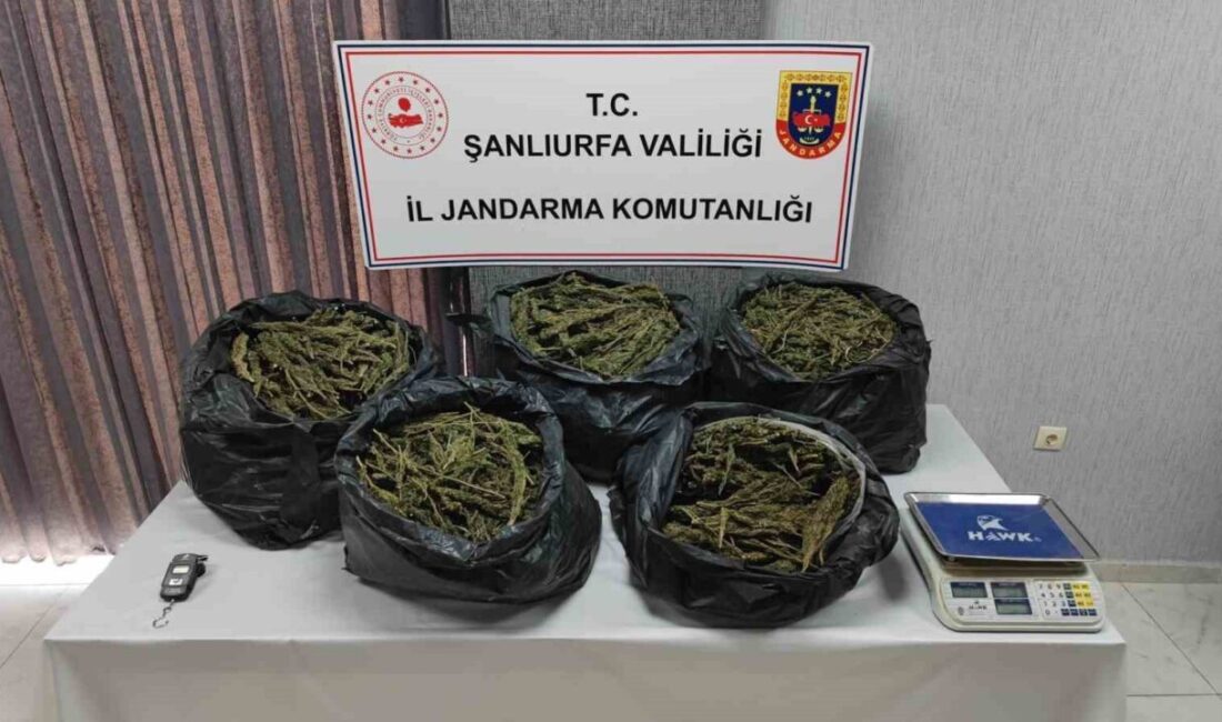 Şanlıurfa’da düzenlenen narkotik operasyonunda, 30 kg esrar ve ruhsatsız silahlarla birlikte 7 şüpheli gözaltına alındı; 2’si tutuklandı. Şanlıurfa'da yürütülen uyuşturucu operasyonunda 30 kg esrar, 1.18 kg eroin,