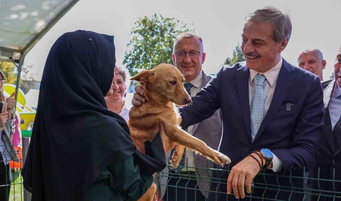 Sakarya Büyükşehir Belediye Başkanı Yusuf Alemdar, Adapazarı'ndaki Sokak Hayvanları Doğal