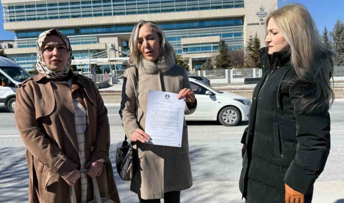 Avukat Meltem Zorba, sokak köpeği saldırılarında sorumlular hakkında ceza davası
