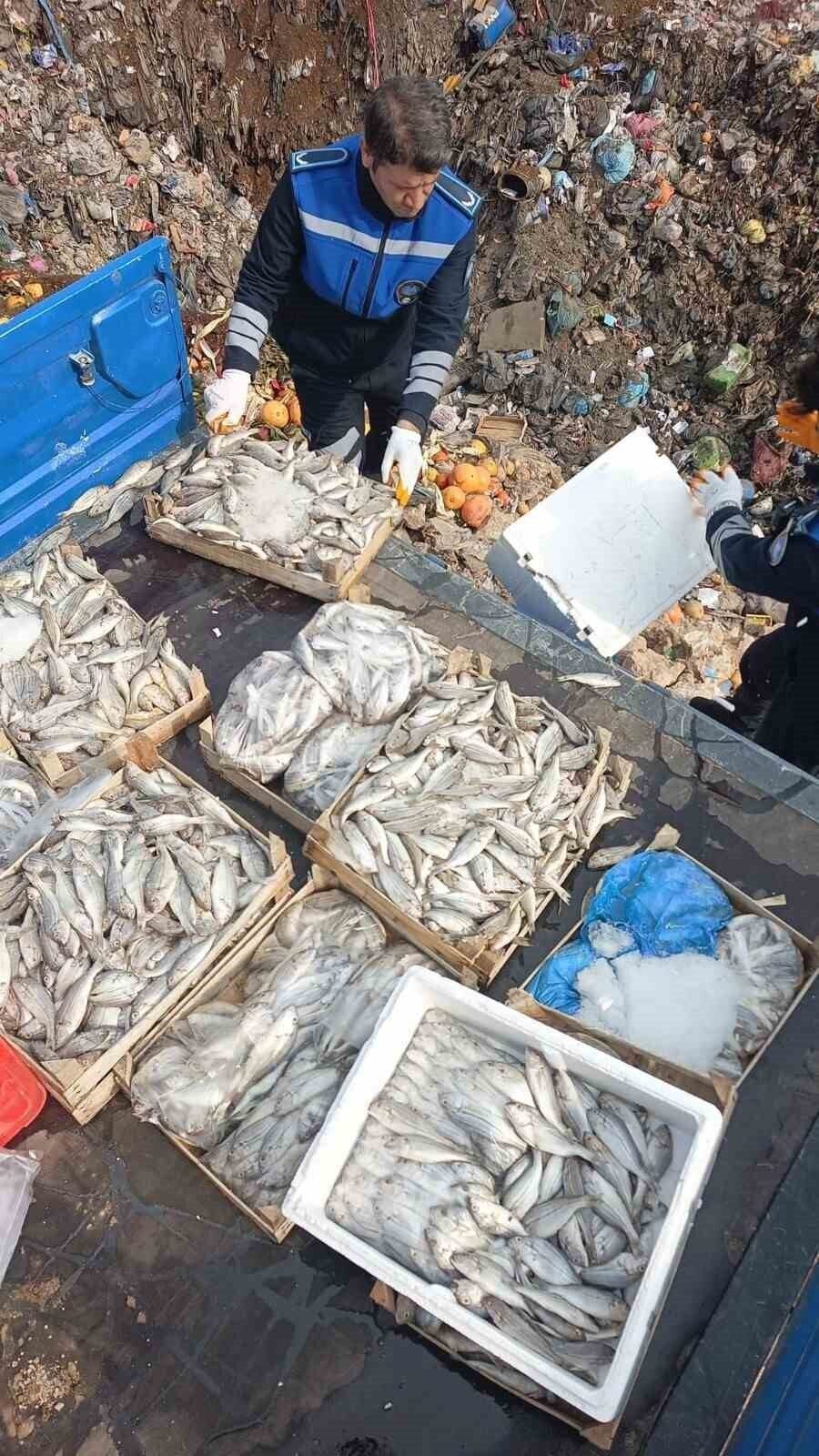 Mersin’in Tarsus ilçesinde sağlıksız koşullarda taşınan 16 kasa balık, ihbar