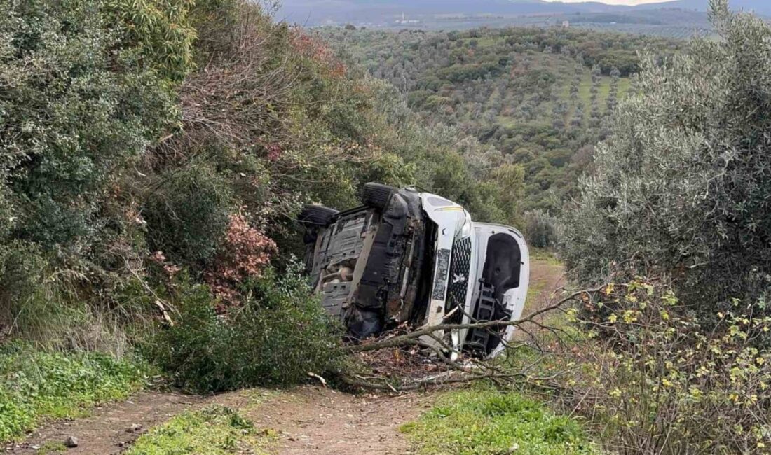 İznik’te Otomobille Tarlaya Uçan Sürücü, Yaralanmadan Kurtuldu Bursa'nın İznik ilçesinde, Emin Ş. yönetimindeki Peugeot marka otomobil, direksiyon