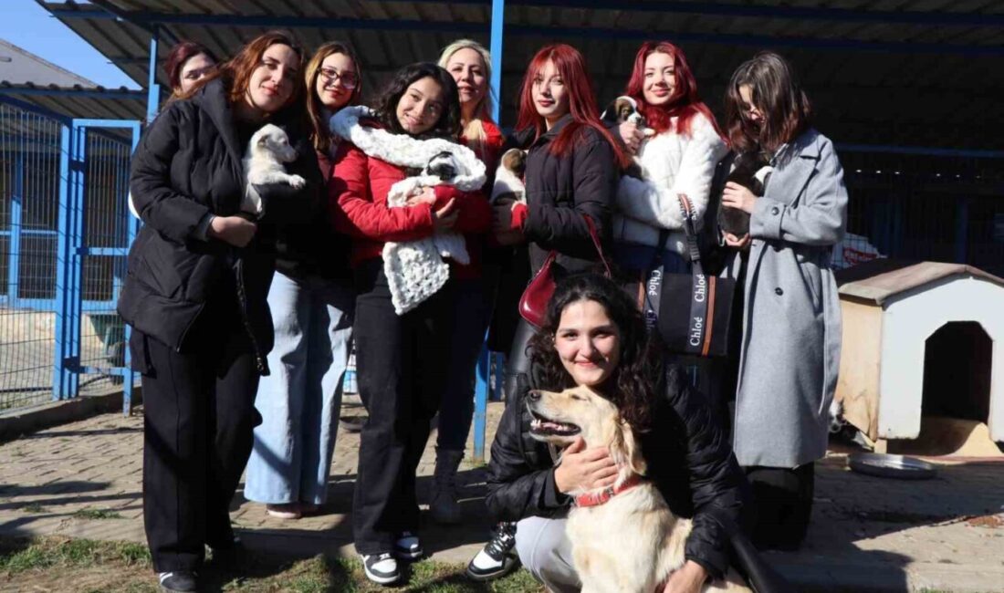 Adnan Menderes Üniversitesi Bozdoğan Meslek Yüksekokulu öğrencileri, Nazilli Belediyesi'ne bağlı