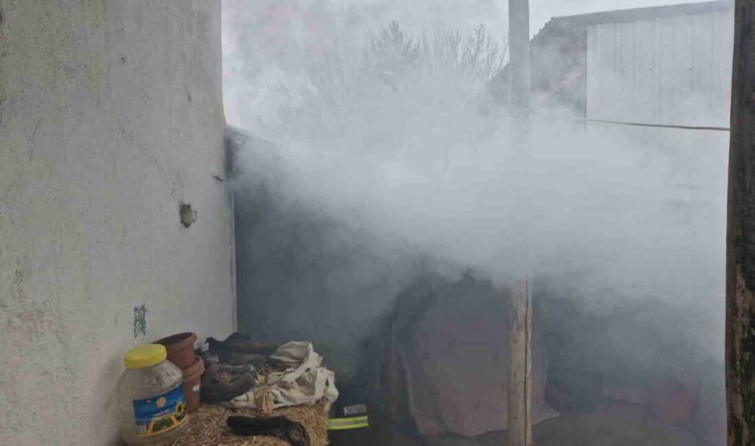 Alaca’da Müstakil Evdeki Kömürlükte Yangın, İtfaiye Ekiplerince Söndürüldü Çorum'un Alaca ilçesinde Yıldızhan Mahallesi'ndeki bir müstakil evin kömürlüğünde çıkan