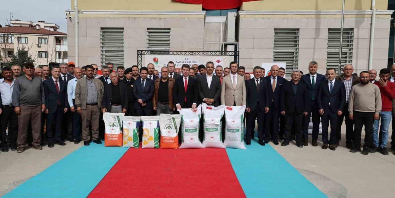 Amasya'da çiftçilere 13 milyon TL değerinde kuraklığa dayanıklı yağlık ayçiçeği
