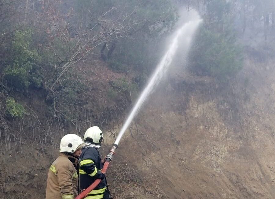 Hatay’daki ormanlık alandaki örtü yangını, itfaiye ve orman ekiplerinin müdahalesiyle söndürüldü. Hatay'ın Arsuz ilçesinde, Kozaklı Mahallesi'ndeki ormanlık alanda çıkan örtü yangını,