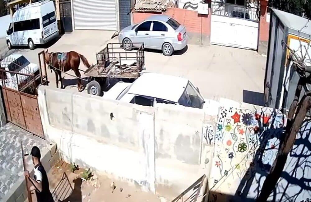 Reyhanlı’da at arabasıyla gelen hırsız, evin bahçesindeki demir korkulukları çalarak kayıplara karıştı Hatay'ın Reyhanlı ilçesinde hurda toplayan bir kişi, Gültepe Mahallesi'ndeki bir