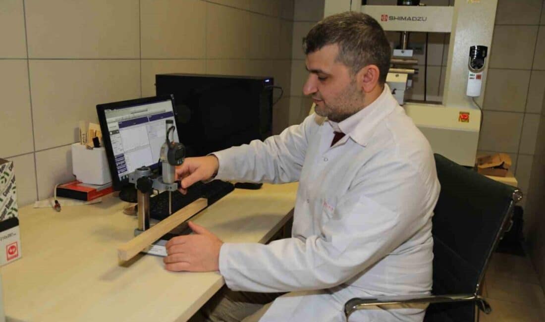 Bursa Teknik Üniversitesi akademisyenleri, hızlı büyüyen ağaç türlerinden elde edilen