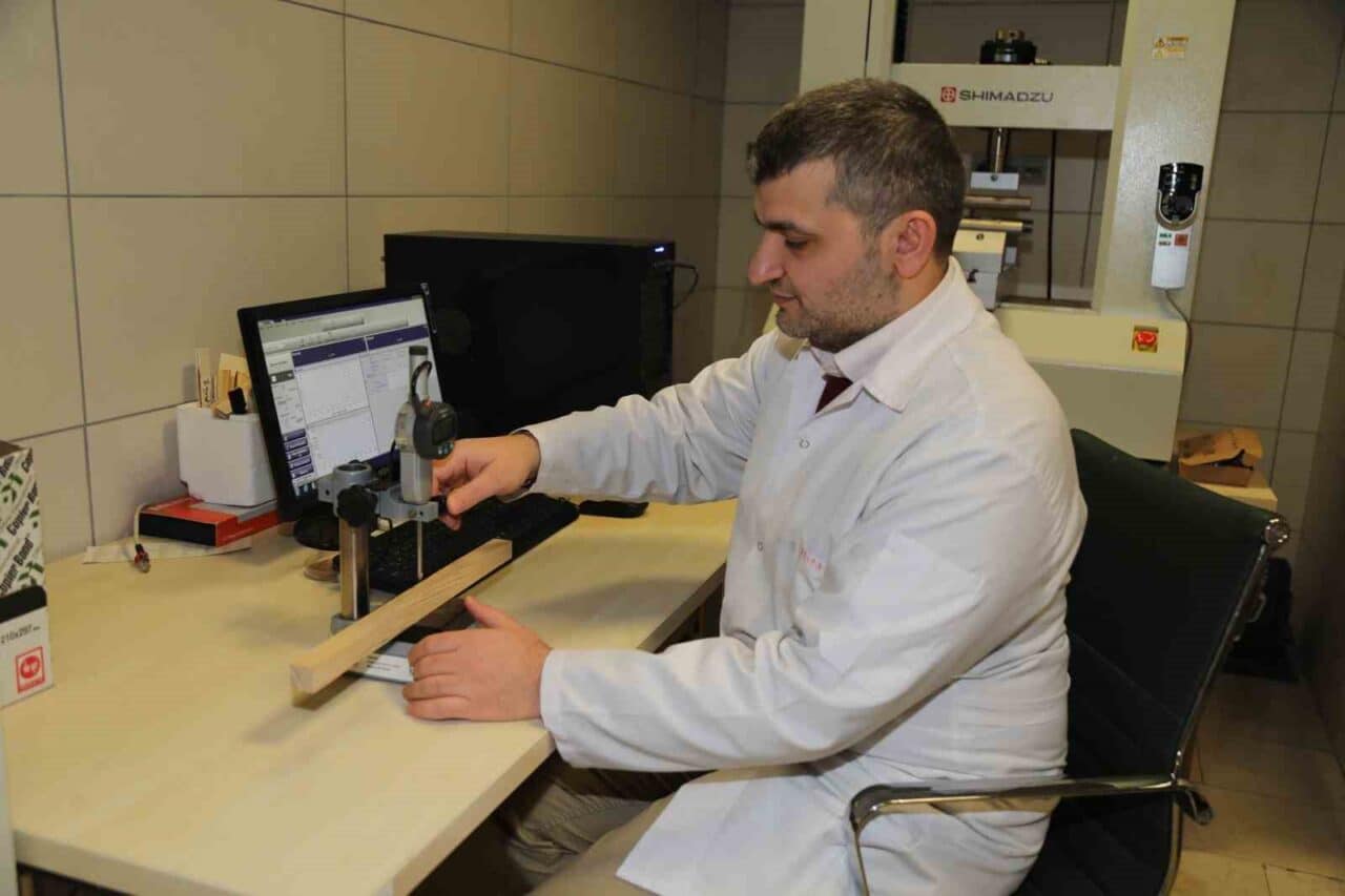 Bursa Teknik Üniversitesi akademisyenleri, hızlı büyüyen ağaç türlerinden elde edilen