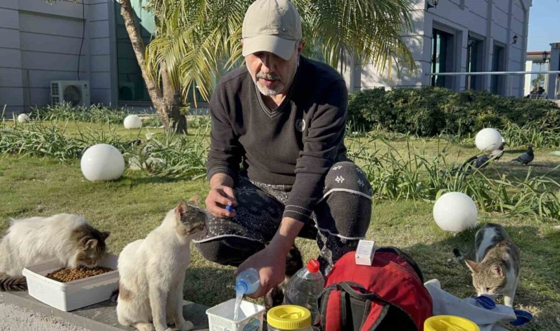 Hüseyin Tuntaş, Hatay’da deprem sonrası sokak kedilerine her gün 8 kilometre yürüyerek yardım ediyor. Hatay'da, depremin ardından sokakta yaşayan kedilere yardım eden 59 yaşındaki