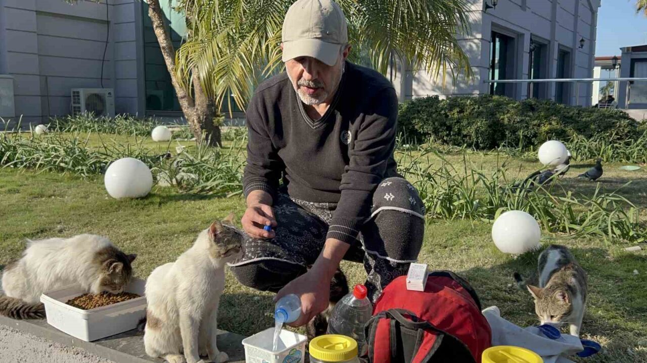 Hatay'da, depremin ardından sokakta yaşayan kedilere yardım eden 59 yaşındaki