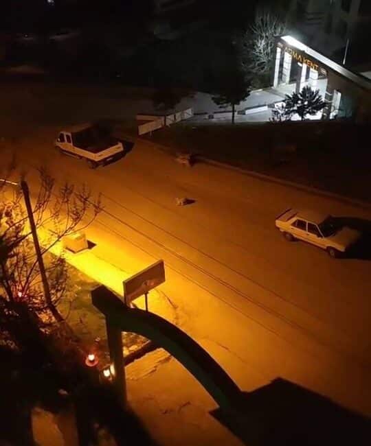 Elazığ’da Çocuk, Başıboş Köpeklerin Saldırısından Kaçarak Kurtuldu Elazığ'ın Cumhuriyet Mahallesi'nde bir çocuk, başıboş köpeklerin saldırısı sonucu panikleyerek