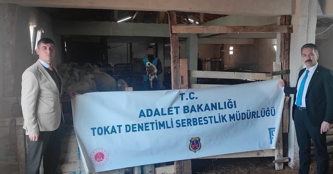 Tokat’ın Niksar ilçesinde, denetimli serbestlikteki A.T., küçükbaş hayvan yetiştiriciliği projesiyle