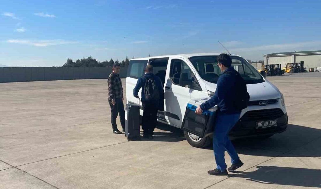 Acil organ nakli bekleyen hastaya, Hava Kuvvetleri ambulans uçağıyla akciğer grefti başarıyla gönderildi. Milli Savunma Bakanlığı, Hava Kuvvetleri Komutanlığı'na ait ambulans uçağın, Alanya'dan
