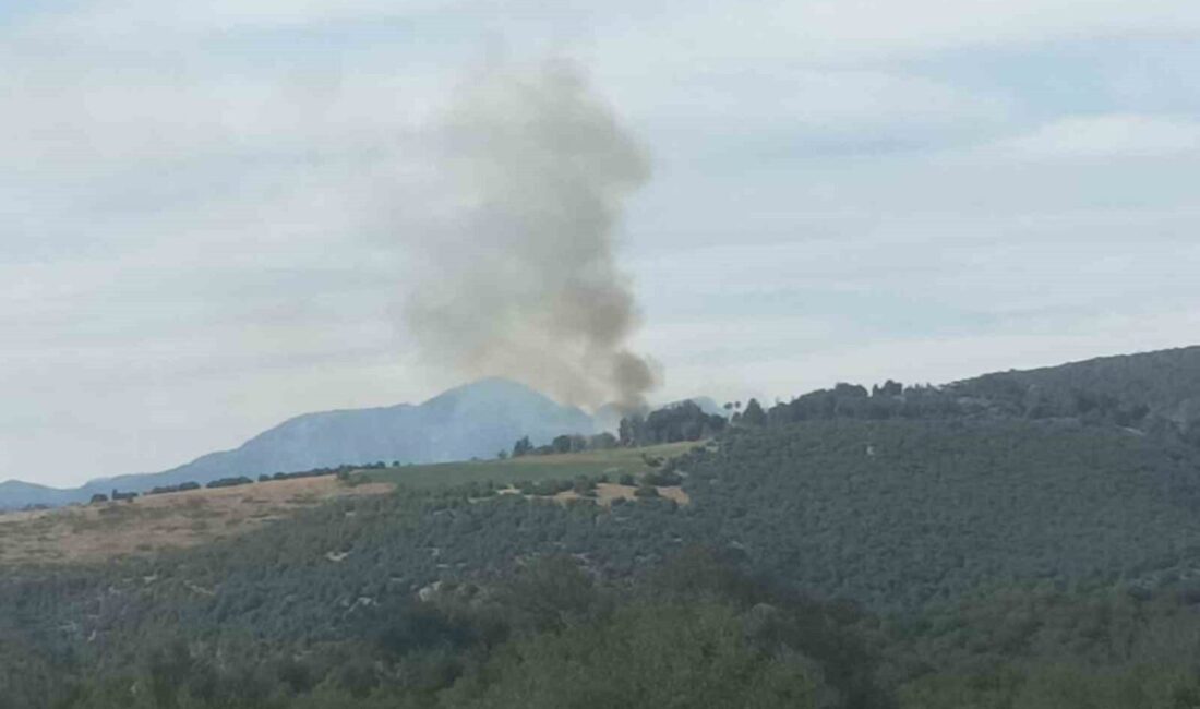 Kahramanmaraş Andırın’da Orman Yangını Kontrol Altına Alındı Kahramanmaraş’ın Andırın ilçesinde Alameşe mahallesi yakınlarındaki ormanlık alanda çıkan yangın,