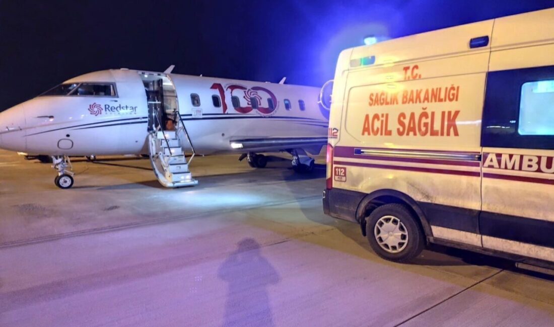 Van'daki hastanede kalp hastalığı tedavisi gören iki çocuk, uçak ambulansla