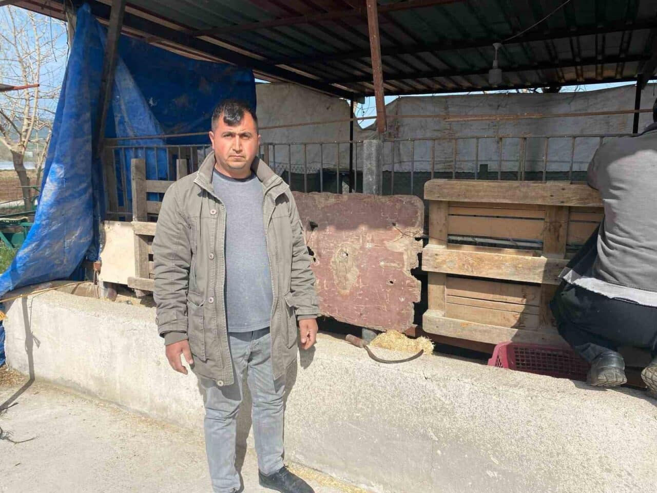 Osmaniye'nin Düziçi ilçesinde Harun Ede'nin ahırına sokak köpekleri saldırdı. 5