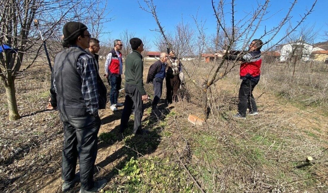 Tavşanlı Tarım Müdürlüğü, Şenlik köyündeki çiftçilere meyve ağacı budama eğitimi vererek verimliliklerini artırmayı hedefliyor. Kütahya'nın Tavşanlı İlçe Tarım Müdürlüğü, Şenlik köyü çiftçilerine meyve ağacı