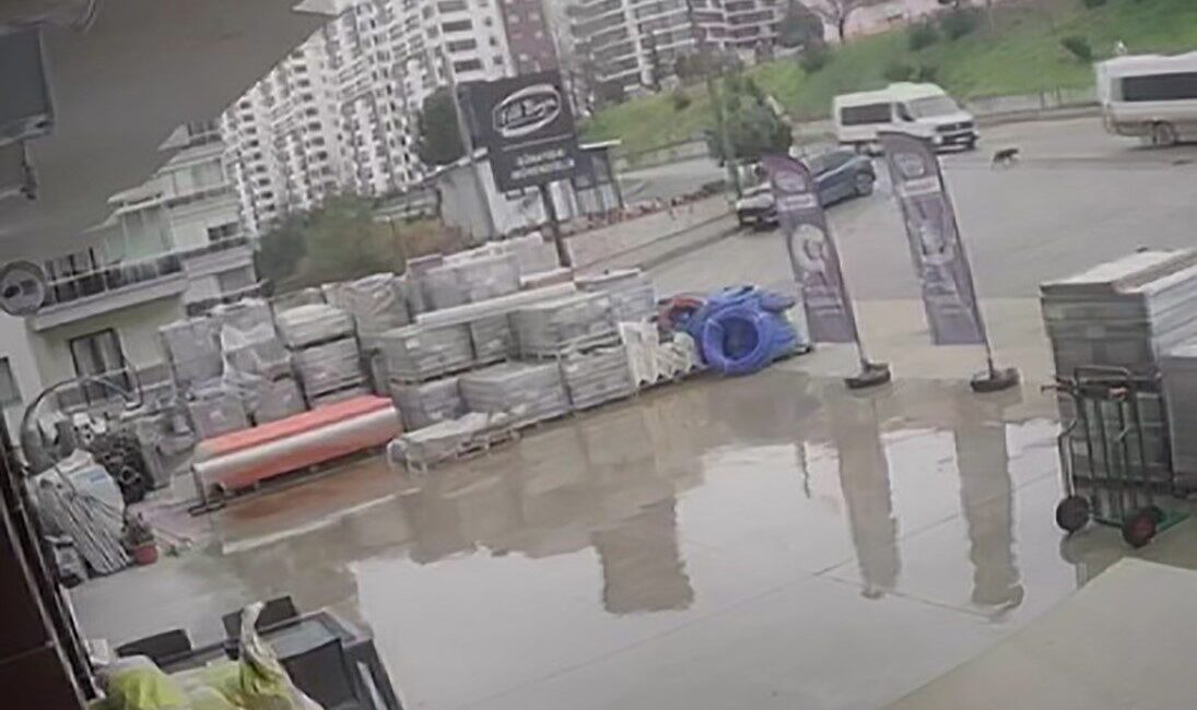 Trabzon'un Akçaabat ilçesinde bir servis minibüs sürücüsü, sokak köpeğini ezerek