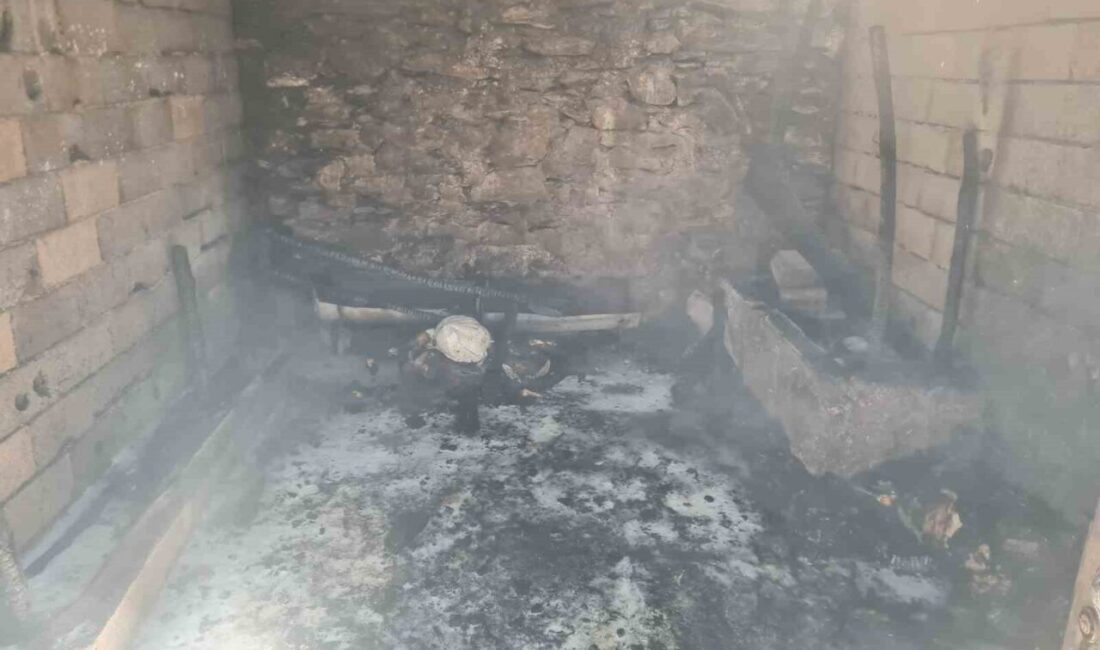 Bahçe’de Yangın Felaketi: 16 Küçükbaş Hayvan Hayatını Kaybetti Osmaniye'nin Bahçe ilçesindeki Bekdemir köyünde Dursun Çelik'e ait ahırda çıkan