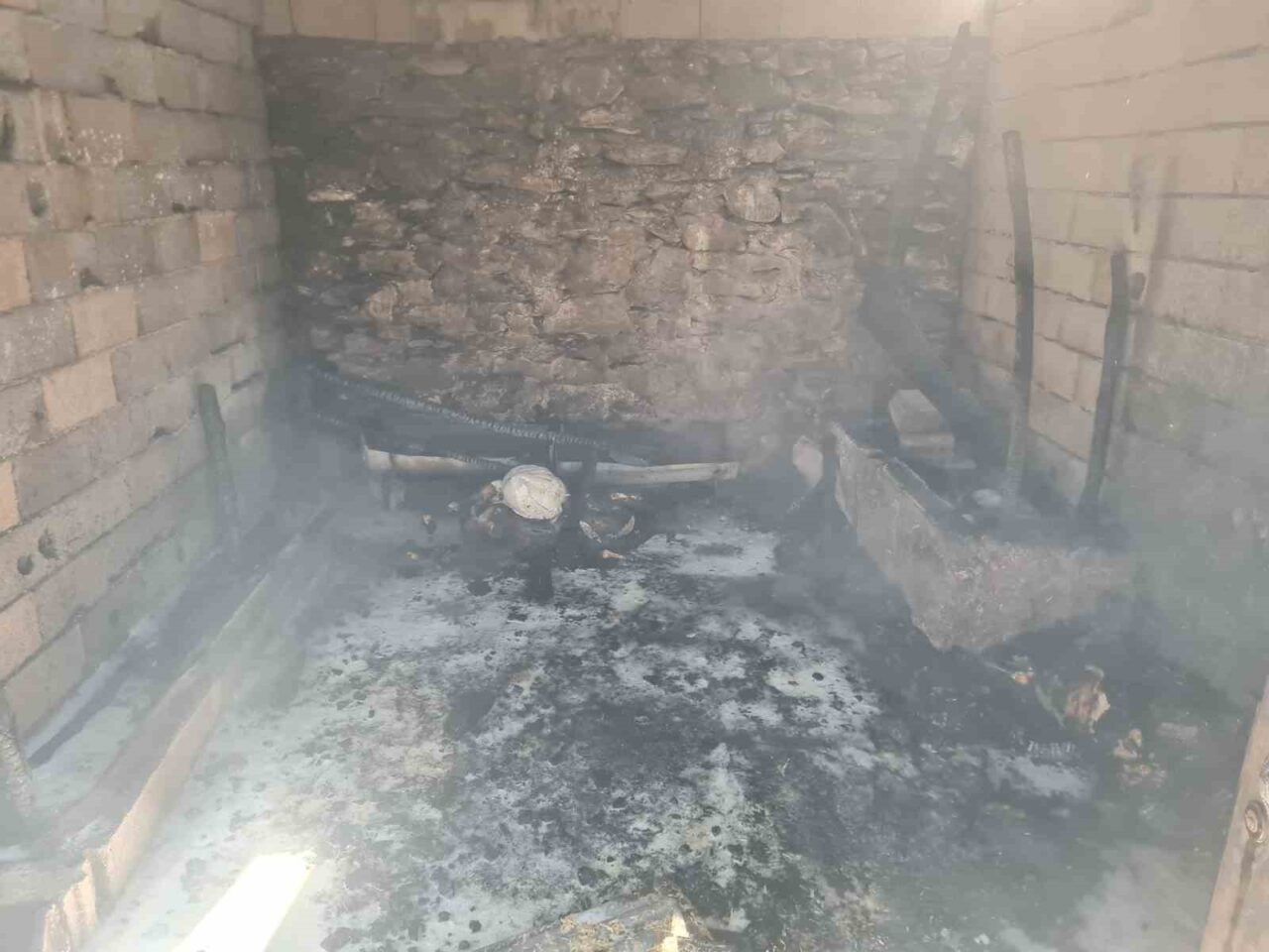 Osmaniye'nin Bahçe ilçesindeki Bekdemir köyünde Dursun Çelik'e ait ahırda çıkan