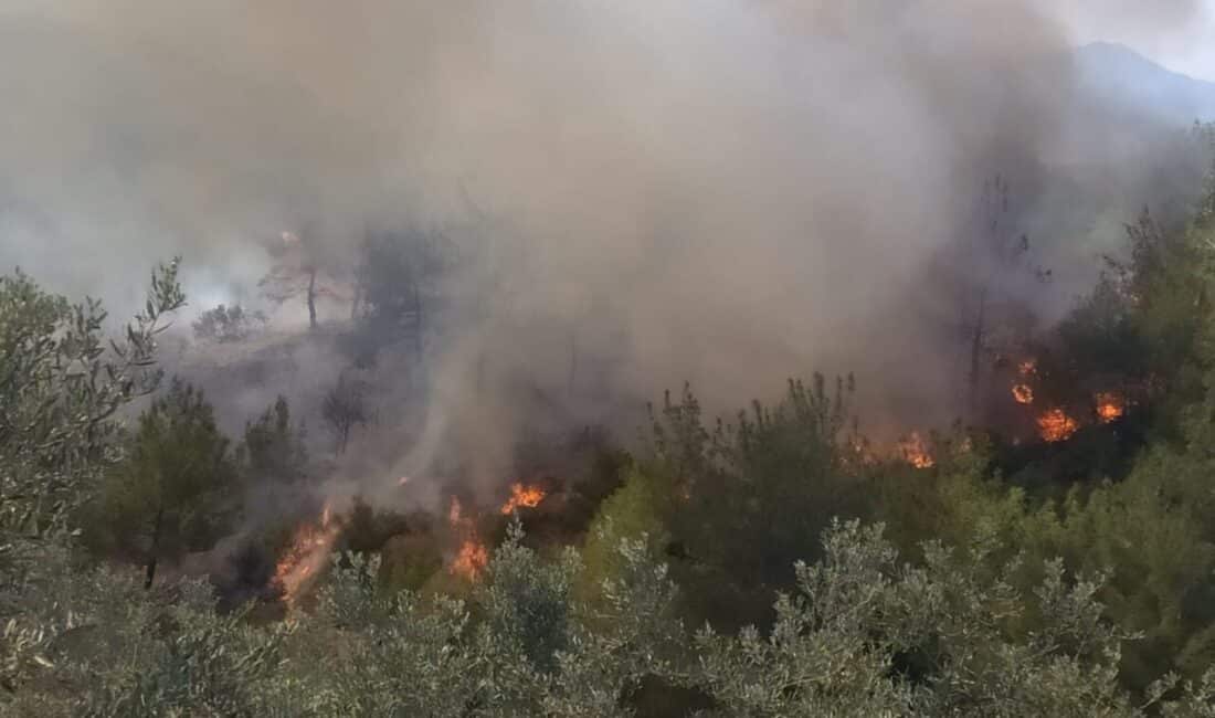 Düziçi’ndeki Ormanlık Alanda Çıkan Yangın İçin Ekipler Seferber Oldu Osmaniye'nin Düziçi ilçesinde Elbeyli köyü kıllık mevkiinde çıkan orman yangını,