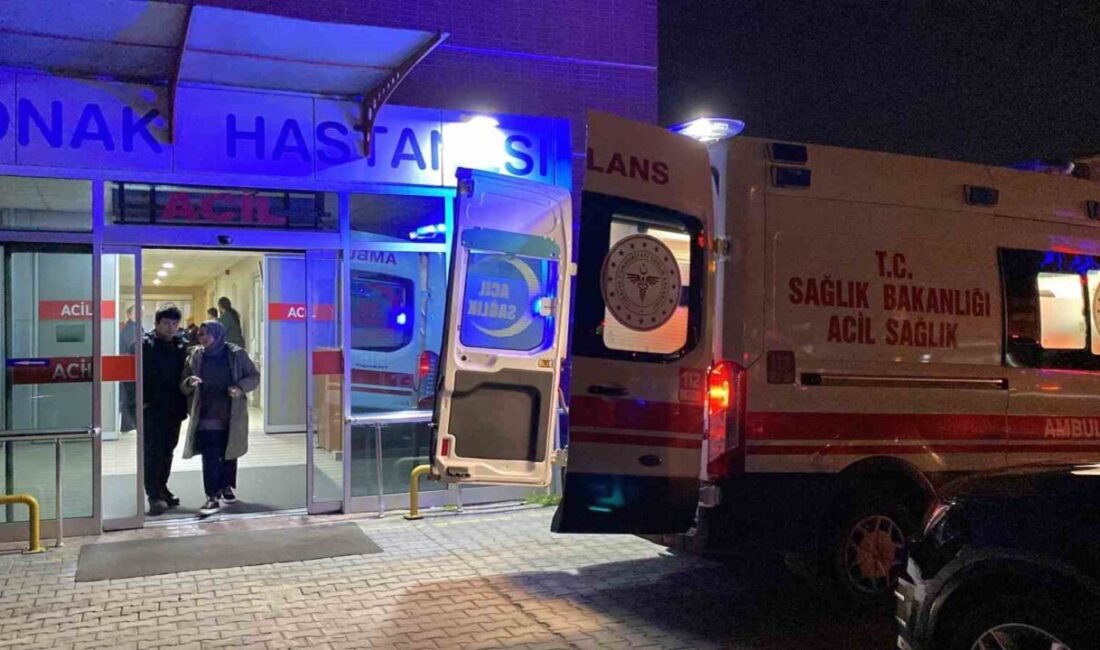 İzmit’te Otomobilin Çarptığı Yaşlı Kadın Hastanede Hayatını Kaybetti Kocaeli'nin İzmit ilçesinde 67 yaşındaki Saadet Hasançebi, yolun karşısına geçerken