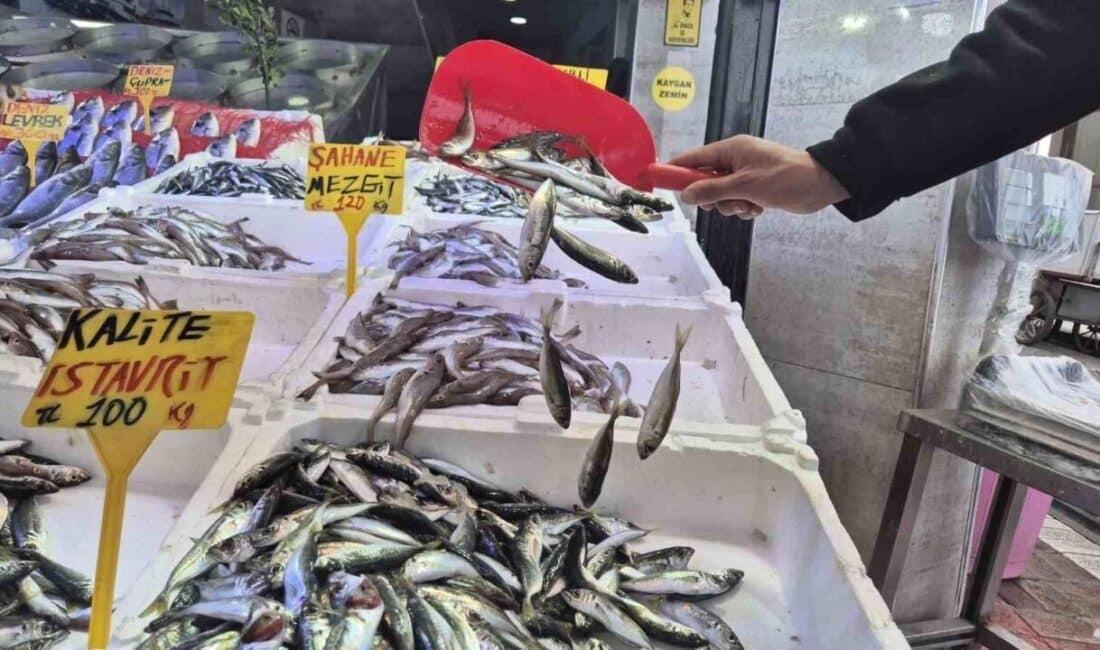 Ramazan’da Balık Tezgahları Durgun Ama Hamsi ve Mezgit Satışı Devam Ediyor Samsun'daki balık tezgahlarında Ramazan ayında sakinlik sürerken, hamsi ve mezgit