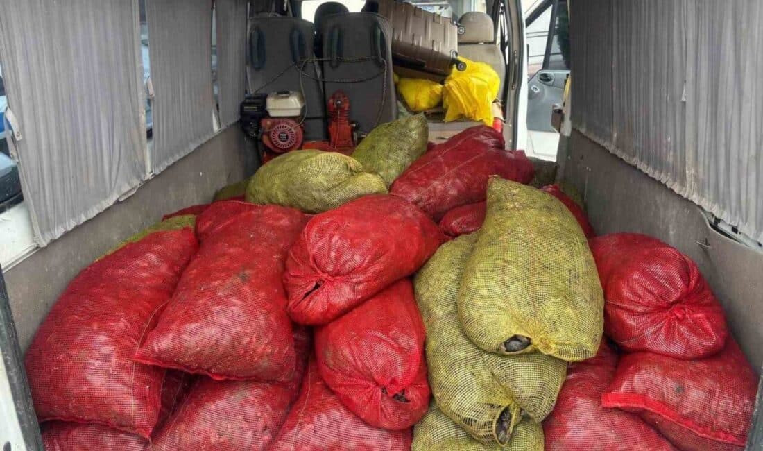Samsun’da yakalanan 1,5 ton kaçak midye doğaya kazandırıldı Samsun'da polisin denetiminde, İstanbul'dan getirilen 1,5 ton kaçak kara midye