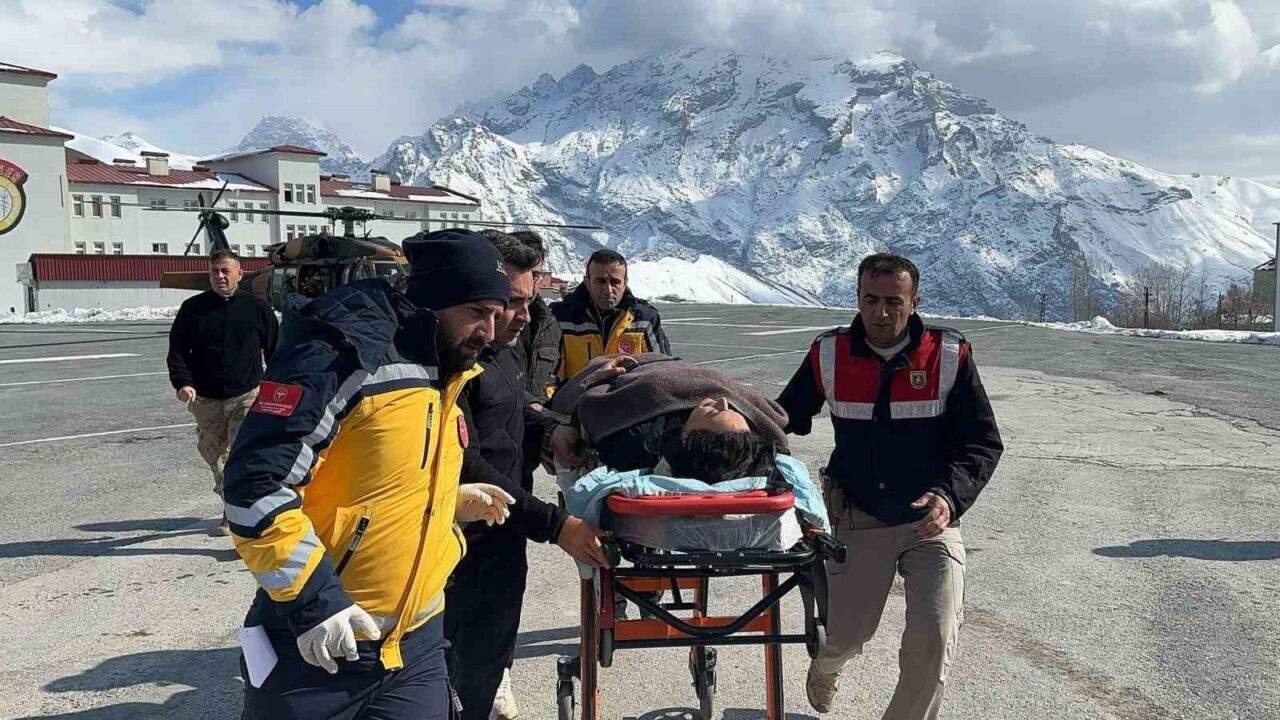 Hakkari'nin Şemdinli ilçesinde Nadide Oğuz isimli hamile kadın, artan sancıları