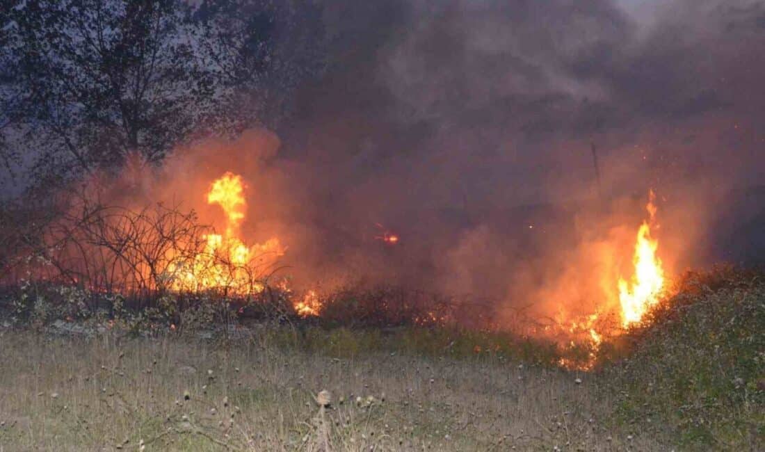 Sinop’ta ormanlık alanda çıkan yangın, zamanında müdahaleyle kontrol altına alındı. Sinop'un Ada Mahallesi Altıntepe mevkisinde ormanlık alanda çıkan yangın, zamanında