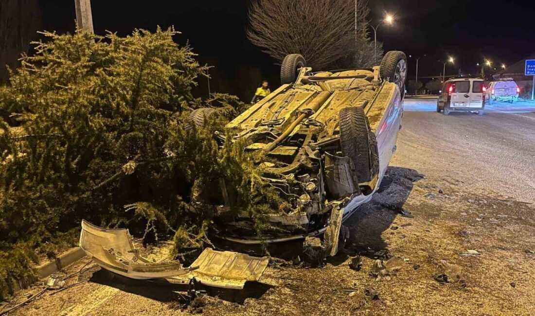 Tavşanlı’da kontrolden çıkan otomobilin takla attığı kazada 3 kişi yaralandı. Kütahya'nın Tavşanlı ilçesinde F.K. (19) yönetimindeki otomobil, kontrolden çıkarak ağaca