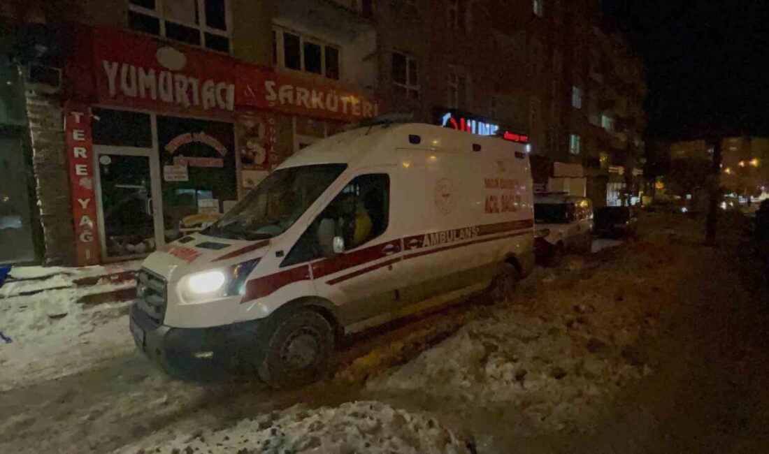 Erzurum’da Yalnız Yaşayan Bir Adam Evinde Hayatını Kaybetti Erzurum'un Palandöken ilçesinde yalnız yaşayan 7 çocuk babası Kemal Önal,