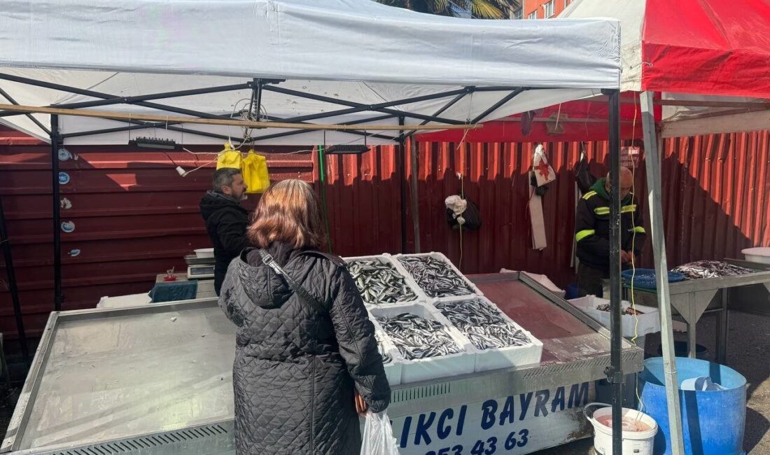 Zonguldak’ta Mezgit 100 Liradan Satışa Sunuldu, Vatandaşlardan Yoğun İlgi Geldi Zonguldak’ta mezgit, 100 lira fiyatla satışa sunuldu ve vatandaşlardan yoğun