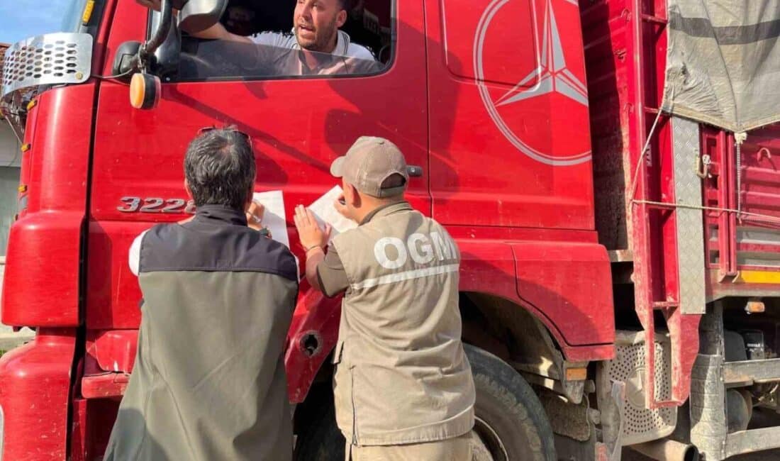 Bilecik’te Orman Ekipleri Kaçakçılığa Karşı Sıfır Tolerans Gösteriyor Bilecik'in Pazaryeri ilçesinde, Bozüyük Orman İşletme Müdürlüğü'ne bağlı ekipler, orman