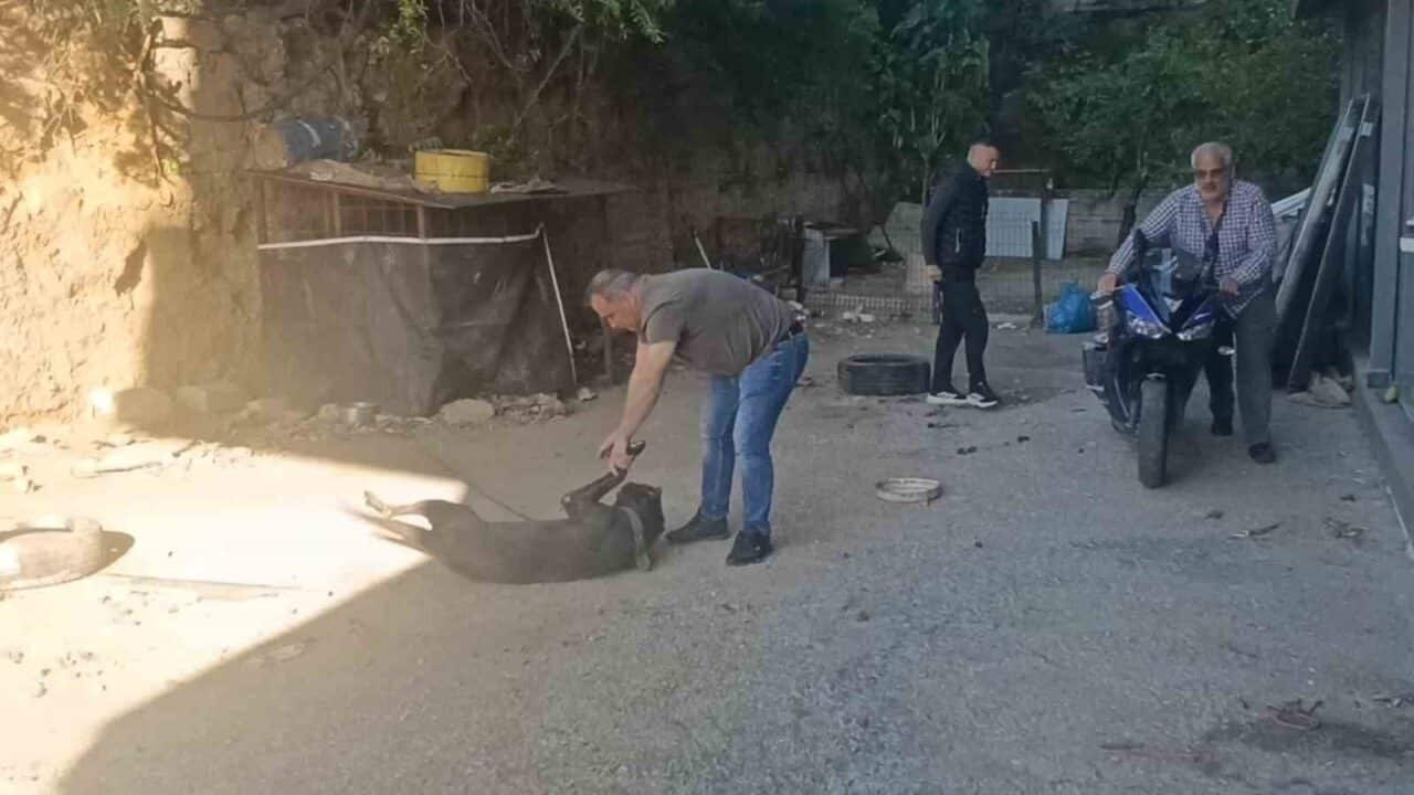 Antalya'nın Manavgat ilçesinde, Jandarma Trafik ekiplerini gören Fatih O. isimli