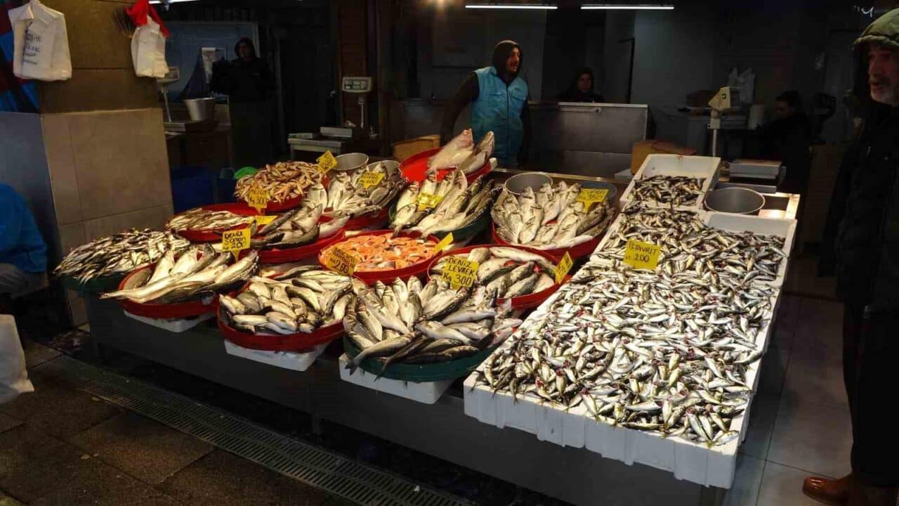 Türkiye'de 1 Eylül'de başlayan balık avı sezonu bu gece sona