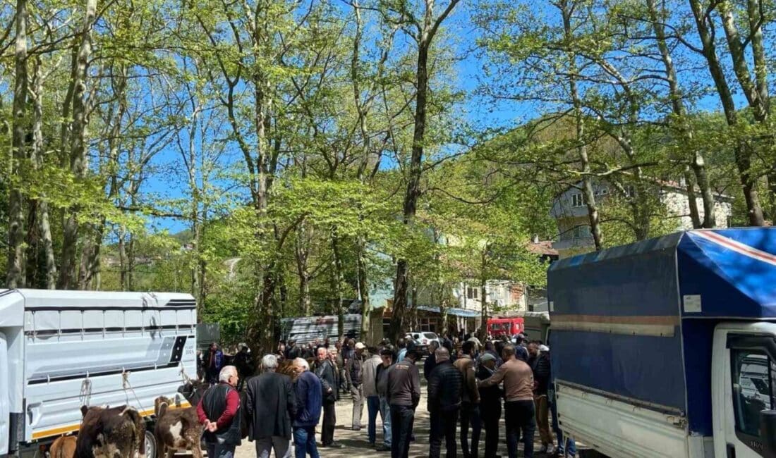 Kurban Bayramı Öncesi Karabey Köyü Çarşamba Pazarı’nda Hareketlilik Artıyor Sinop'un Türkeli ilçesine bağlı Karabey köyündeki Çarşamba Pazarı, yaklaşan Kurban