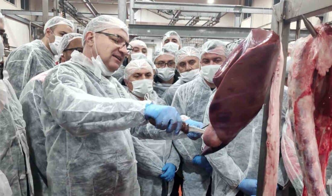 Çorum'da Tarım Müdürlüğü, veteriner hekimlere "Resmi Veteriner Hekim Eğitimi" düzenledi.