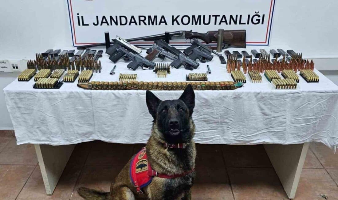 Düzce’de Jandarma Operasyonunda Silah ve Mühimmatlar Ele Geçirildi Düzce'de jandarma, 24 Mart-6 Nisan tarihleri arasında yaptığı denetimlerde 217